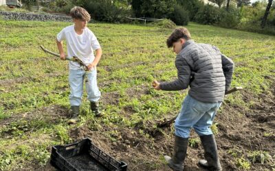 Workshop im Bildungszentrum Ehrental